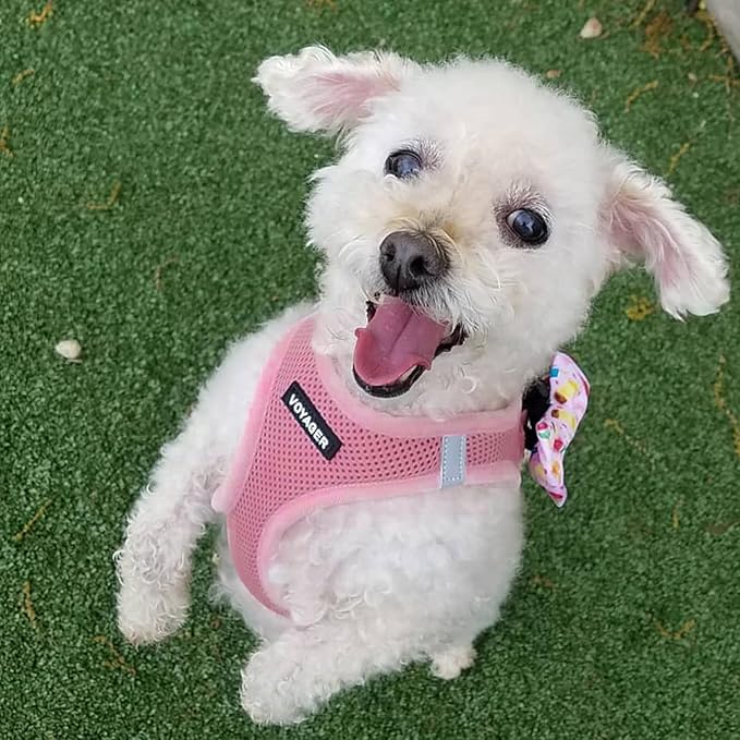 Best Pet Supplies Voyager Step-in Air All Weather Mesh Harness and Reflective Dog 5ft Leash Combo with Neoprene Handle, for Small, Medium and Large Breed Puppies - Pink, XXX-Small