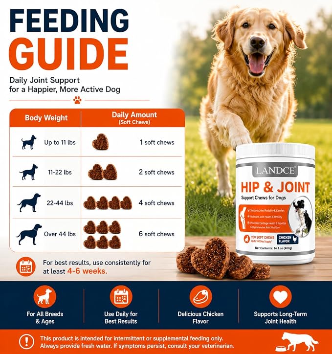 Hip and Joint Supplement for Dogs Glucosamine Chondroitin MSM Chews