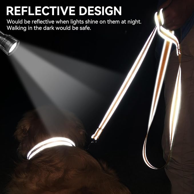 Joytale Reflective Dog Leash for Medium & Large Dogs, 6 FT x 1", Khaki | Heavy Duty Nylon Webbing, Padded Handle for Comfort, Visible at Night, for Walking & Training