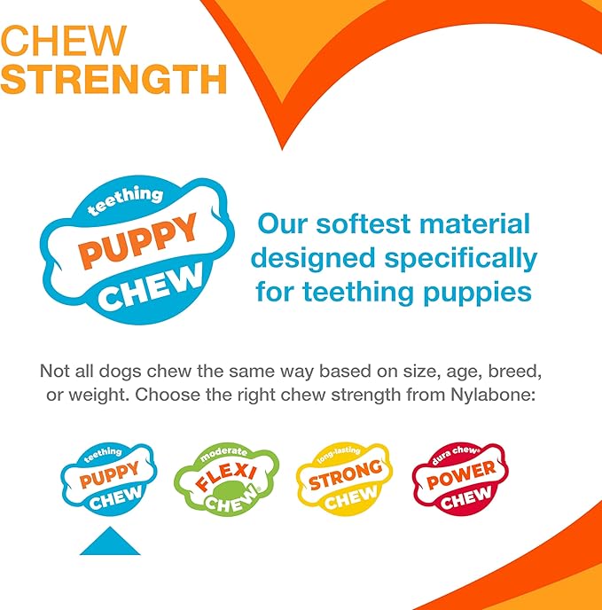 Nylabone Puppy Chew Teething Key Ring Dog Chew Toy, Bacon Flavor, Small | Medium breeds, soothing teething toys for puppies, puppy enrichment, freeze for added comfort, for puppies up to 35 lbs