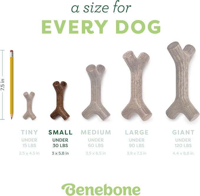 Benebone Maplestick Real Wood Durable Dog Chew Toy, Made in USA, Small | Durable, Made in USA, Dog Bones, Long-Lasting, A Size for Every Dog, Keeps Them Busy