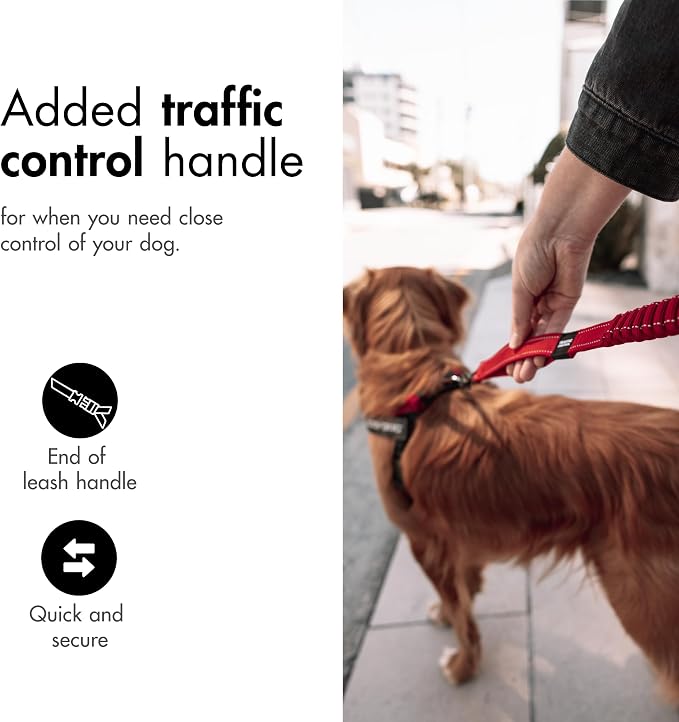 EzyDog Zero Shock - Bungee Dog Leash, Shock Absorbing - 48-Inch, Corduroy | Padded Neoprene Grip, Traffic Handle, Reflective Stitching, Strong for All Size Pullers, 1" Soft Touch Webbing for Durability