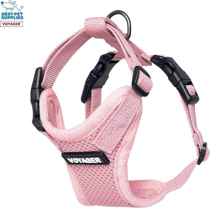 Best Pet Supplies Voyager Step-in Lock Pet Harness w Reflective Pet Leash Combo Set with Neoprene Handle 5ft - Supports Small, Medium and Large Breed Puppies/Cats - Pink Set, XXXS