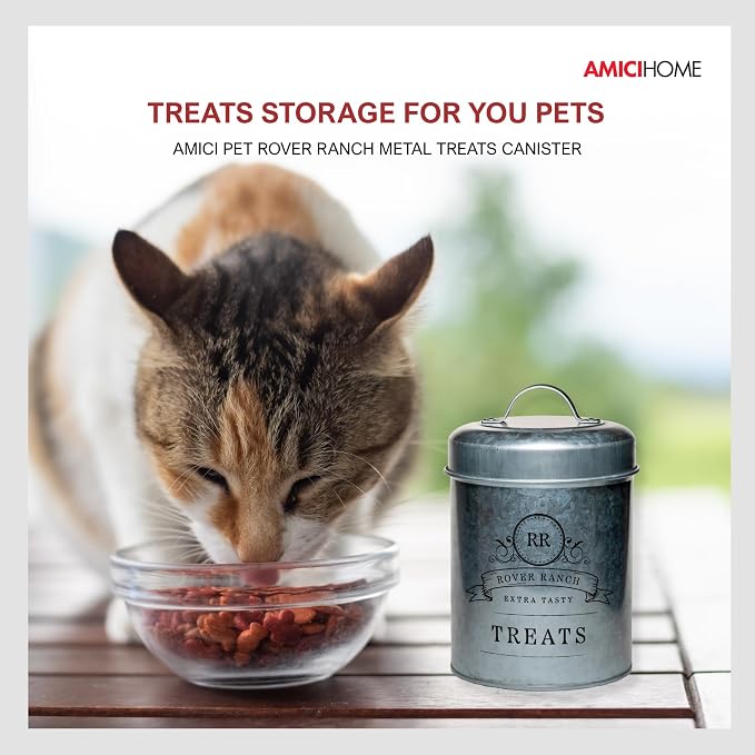 Amici Home Rover Ranch Metal Pet Treat Canister, 64 Oz - Silver