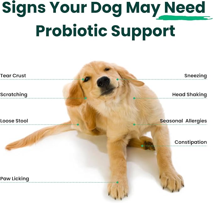 Dog Probiotics and Multivitamin Chews for Digestive Health, Immune Support, Gut Health, Allergy Support, Dog Vitamins, with Vitamin C, Omega 3, Colostrum, 60 Soft Chews per Jar