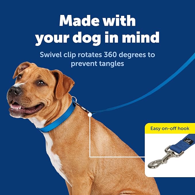 PetSafe Nylon Dog Leash - Strong, Durable, Traditional Style Leash with Easy to Use Bolt Snap - 3/8 in. x 6 ft., Royal Blue | Durable Nylon Leash with Easy on/off Bolt Snap Hook, Pairs Perfectly with Easy Walk Harness and Gentle Leader Headcollar