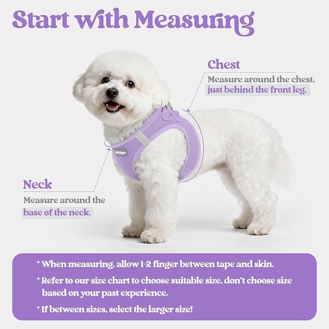 rabbitgoo Dog Harness Medium Sized and Leash Set, Step-in Puppy Pet Vest | Light, Soft, Breathable Air Mesh, Easy on and Remove with Hook & Loop, Secure Reflective for Walking, Light Purple L