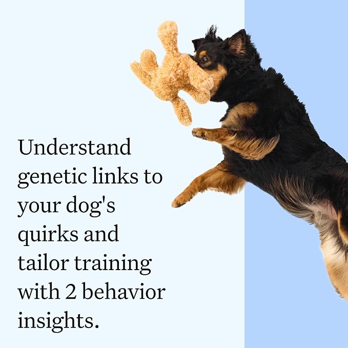Wisdom Panel Essential DNA Test Kit, 2-Pack