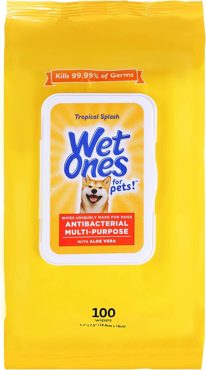Wet Ones for Pets Multipurpose Dog Wipes with Aloe Vera, Tropical Splash Scent - Pet Bathing Wipes with Wet Lock Seal for Dog Paws and All-Over Use, 100 Count