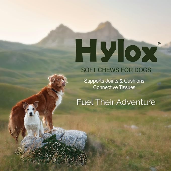 Hylox Soft Chews for Dogs – Joint Support with Glucosamine, MSM, Creatine, Hyaluronic Acid, Turmeric, EPA & DHA – Supports Joints & Cushions Connective Tissues – NASC Certified – 120 Soft Chews