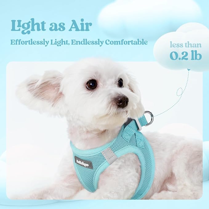 rabbitgoo Dog Harness Medium Sized and Leash Set, Step-in Puppy Pet Vest | Light, Soft, Breathable Air Mesh, Easy on and Remove with Hook & Loop, Secure Reflective for Walking, Mint Blue XL