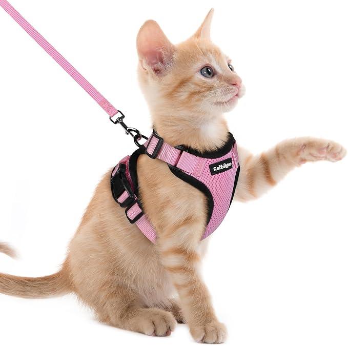rabbitgoo Cat Harness and Leash Set, Escape Proof Vest, Pink | Soft Breathable Mesh, Easy Adjustable Fit, Snap Buckles, Sturdy Clip, Reflective Strips, for Kittens & Small Cats Walks, Xxs