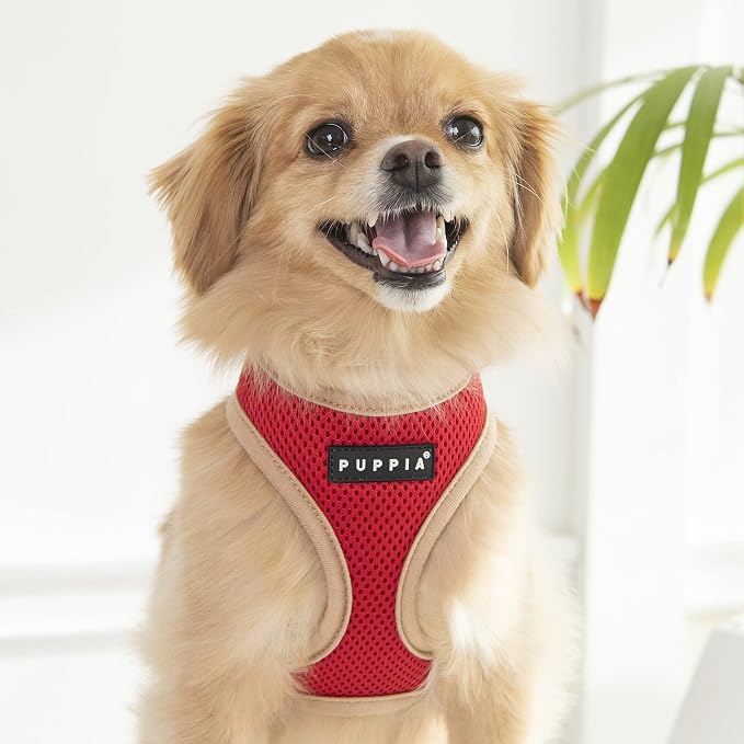 Puppia Soft Dog Harness II Mesh Over-the-Head All Season No Pull No Choke Walking Training Adjustable for Small & Medium Dog - RED - M
