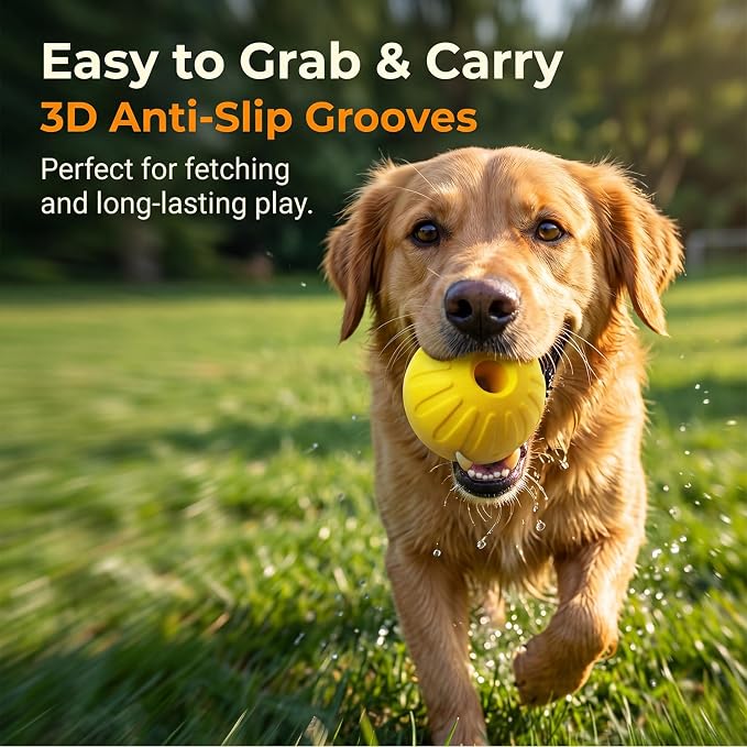 4Pack Dog Balls - Durable Dog Toys for Chewers, Interactive Fetch & Training, Floats in Water (2Pcs 3.54in/2Pcs 2.76in)
