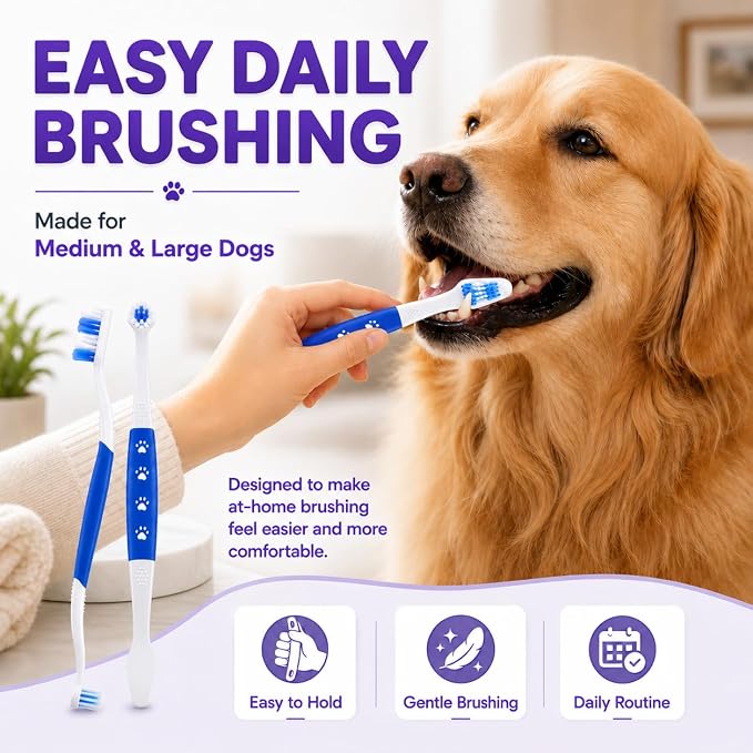 Dog Toothbrush, Dual-Head, for Medium-Large Dogs, Blue | Soft Bristles for Gentle Cleaning, 60° Curved Bristles for Better Coverage ,Comfortable for Sensitive Gums