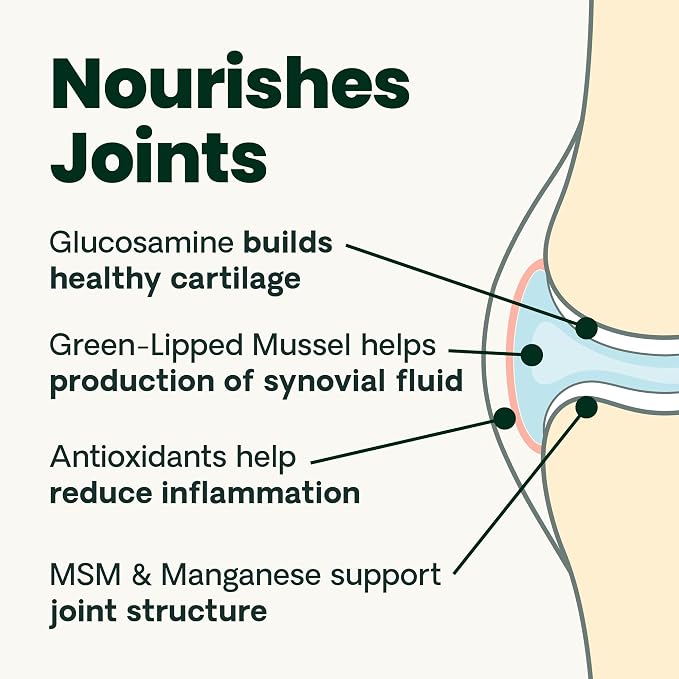 VetriScience Extra Strength Healthy Hip&Joint Chews,GlycoFlex 3,Glucosamine,Green-Lipped Mussel,Joint Support Supplement for Dogs,Promote Mobility&Soothe-Joint Discomfort,Chicken,120 Count (Pack of 2)