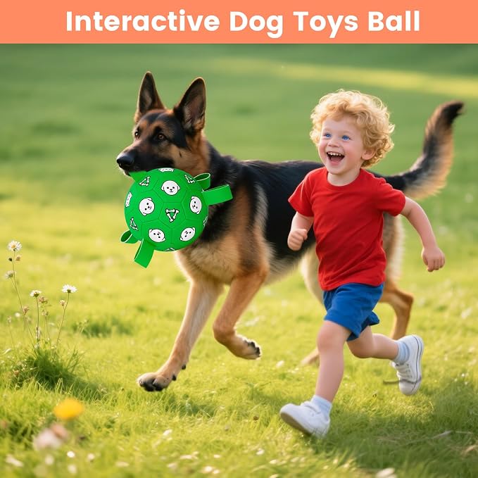 Dog Soccer Ball with Straps, 6in, Jolly Ball, Floating