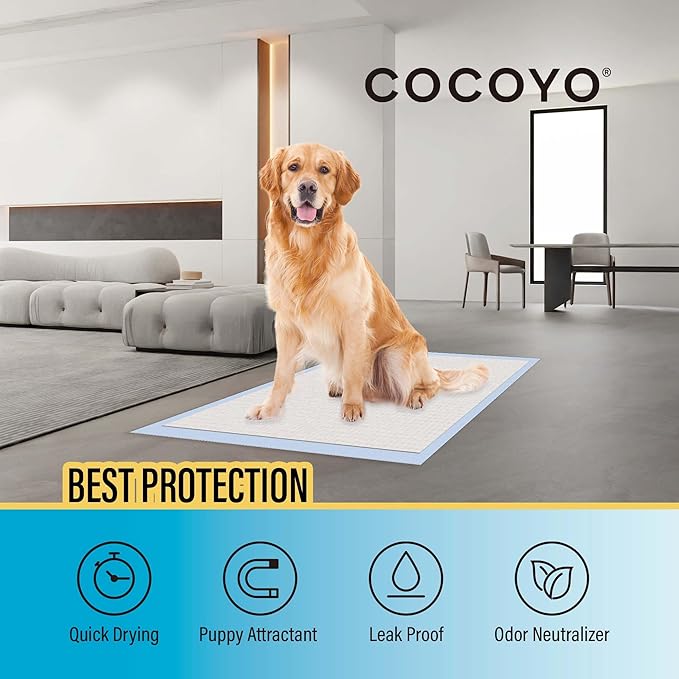 COCOYO Large Training Pads, 22"X30", 150 Count