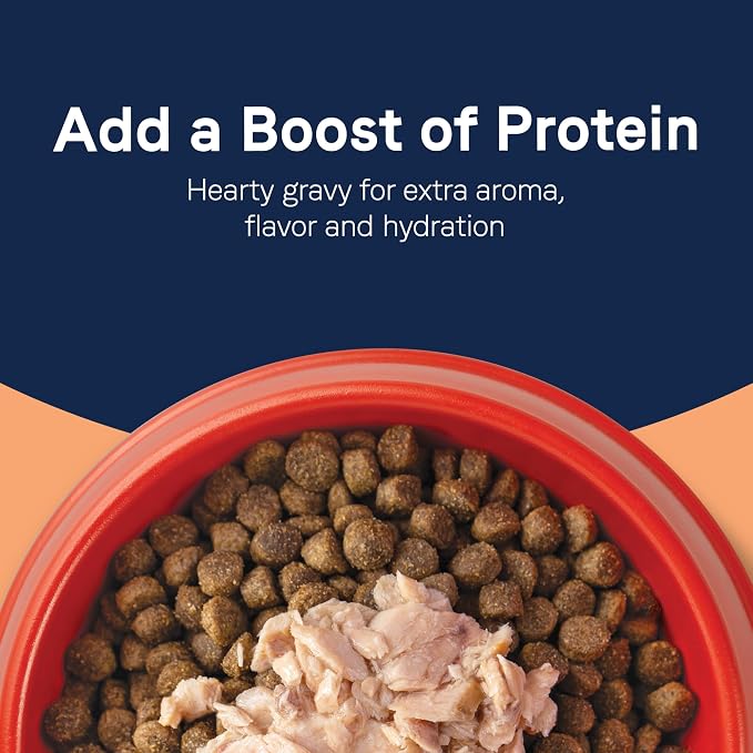 Canidae Pure Protein Topper Wet Dog Food - Wild-Caught Salmon Recipe in Gravy, 3 oz. (Case of 12)