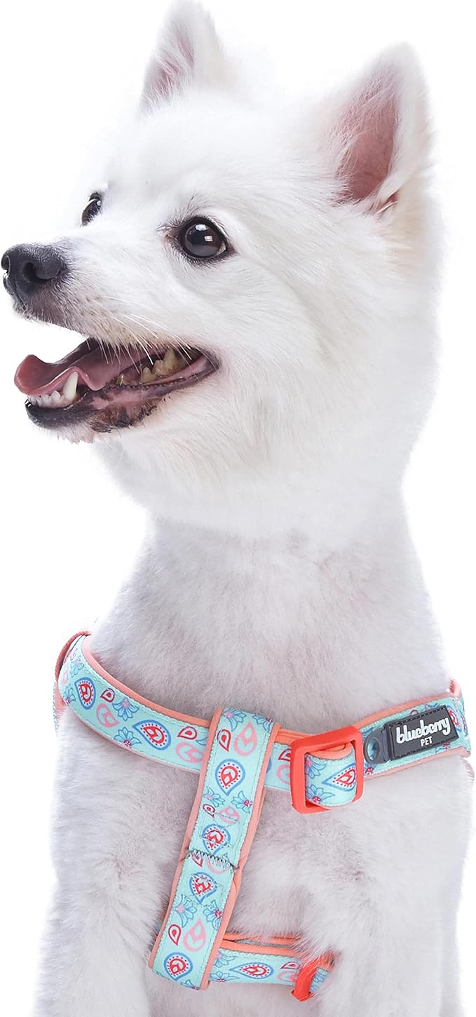 Blueberry Pet 5 Colors Soft & Comfy Step-in Paisley Flower Print Dog Harness, Chest Girth 16.5" - 21.5", Pastel Blue, Small, Adjustable Harnesses for Dogs