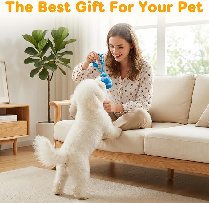 2 Mixed Zealburst Dog Toy, Interactive Dog Toys, 360° Smart Automatic Rolling Moving, Upgraded Motion Activated Squeaky Cat Balls, USB Rechargeable Smart Motion Pet Ball for Bored Pet Cats Dogs