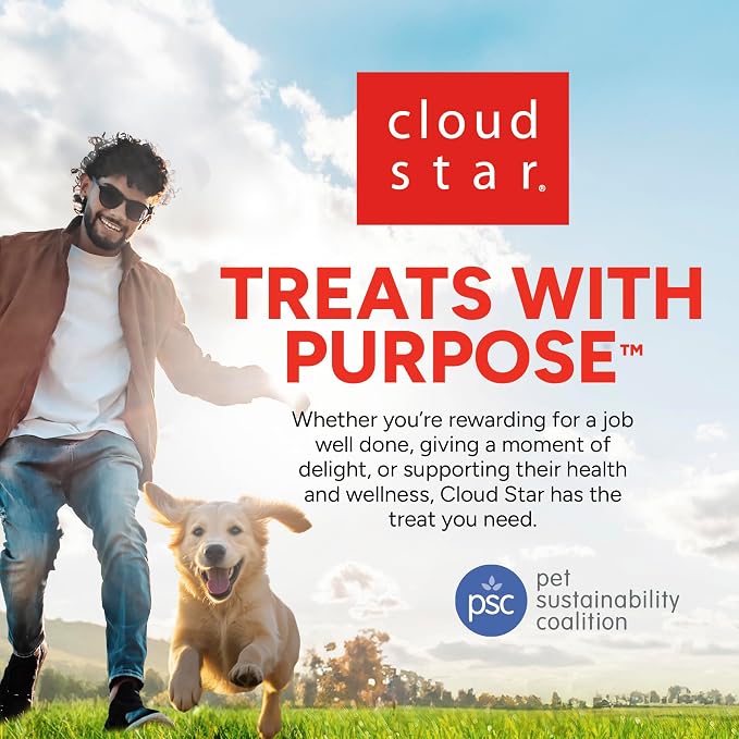 Cloud Star Dynamo Dog Skin & Coat Soft Chews Grain Free Dog Treats, Salmon, 14 oz. Pouch