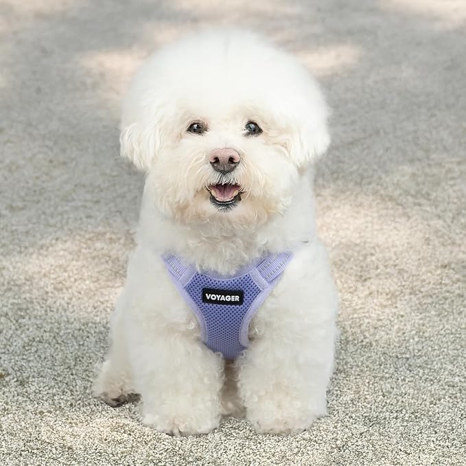 Voyager Step-in Flex Adjustable Dog Harness - Lavender, Small | 15 - 18" in Chest, Fully Adjustable, Reflective Bands, All Weather Breathable Air Mesh, Lightweight, Fast Drying