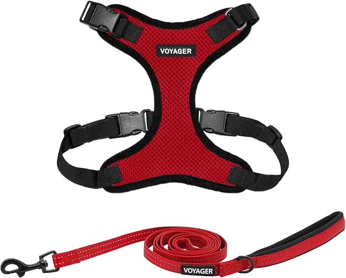Best Pet Supplies Voyager Step-in Lock Pet Harness w Reflective Pet Leash Combo Set with Neoprene Handle 5ft - Supports Small, Medium and Large Breed Puppies/Cats - Red/Black Trim Set, L