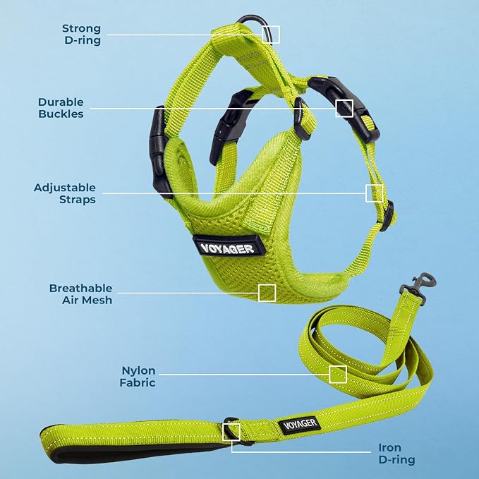 Best Pet Supplies Voyager Step-in Lock Pet Harness w Reflective Pet Leash Combo Set with Neoprene Handle 5ft - Supports Small, Medium and Large Breed Puppies/Cats - Lime Green Set, L