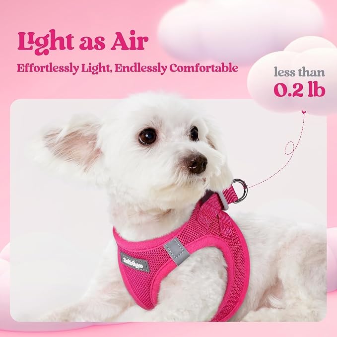 rabbitgoo Dog Harness Medium Sized and Leash Set, Step-in Puppy Pet Vest | Light, Soft, Breathable Air Mesh, Easy on and Remove with Hook & Loop, Secure Reflective for Walking, Rose Red XXL