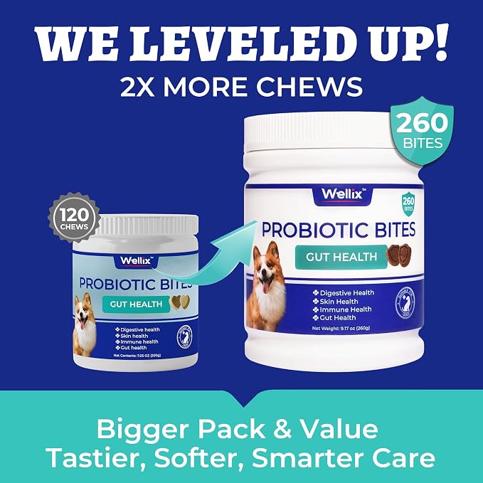 Wellix 260 Bites Probiotics for Dogs - Probiotics & Prebiotics with Pumpkin