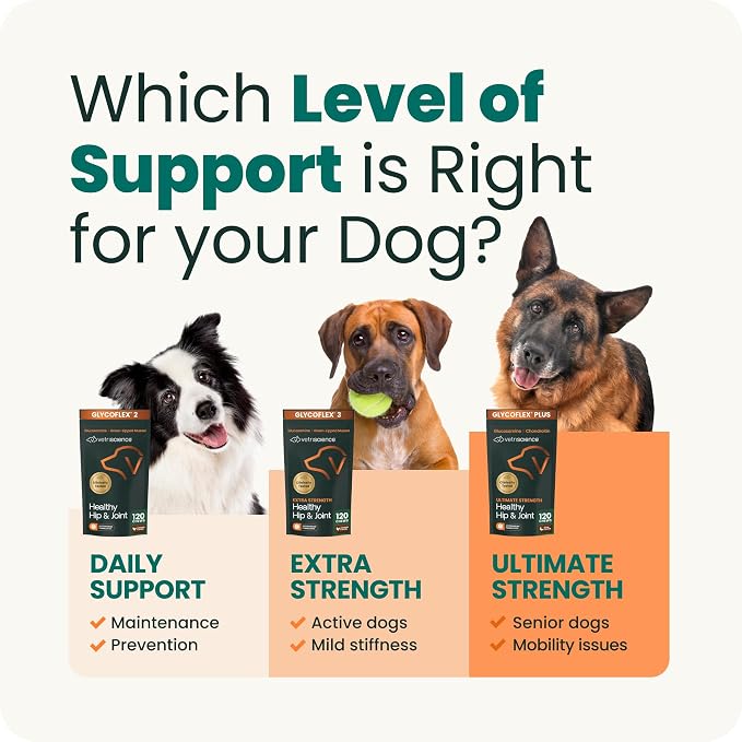 VetriScience Ultimate Strength Healthy Hip & Joint Chews, GlycoFlex Glucosamine, Chondroitin and Green-Lipped Mussel Joint Support Supplement for Dogs, Soothe Joint Discomfort, Duck, 120 Count