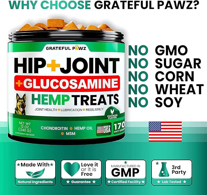 (2 Pack) Hemp Hip and Joint Supplement for Dogs - Glucosamine for Dogs