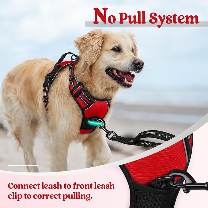 rabbitgoo Dog Harness, No Pull Medium Sized with 2 Leash Clips, Pet Vest | No Choke with Handle, Adjustable Soft Padded, Reflective, Easy Control for Walking, Red, Medium