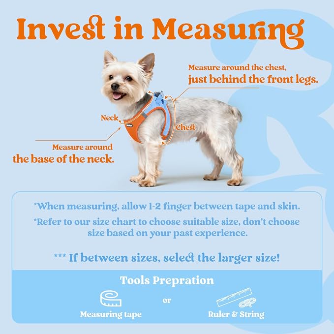 rabbitgoo Step-in Small Dog Harness, Puppy Vest for Small Sized Pet | Easy Put on and off, Lightweight, Soft, Breathable Quick-Dry Air Mesh for Comfortable Secure Walking, Blue & Orange S