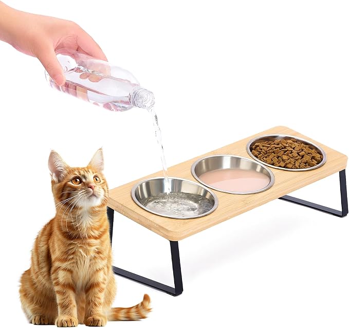 Hannadepot Elevated Cat Bowls, 15° Tilted Raised Cat Food and Water Bowl, Anti-Vomit & Whisker-Friendly Design, 3 Stainless Steel Bowls for Cats and Small Dogs