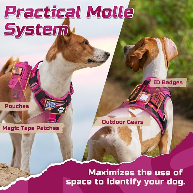rabbitgoo Tactical Dog Harness for Medium, No Pull Military Service Vest | Molle & Handle, Heavy Duty, Adjustable, Reflective Straps, Easy Control for Training Walking, Black & Rose Red, Medium