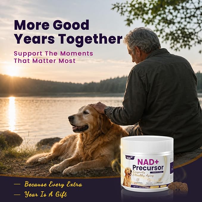 VUN Senior Dog NAD+ Longevity Supplement,NMN Healthy Aging Chews for Dogs