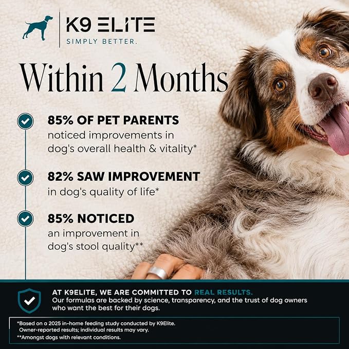 Hip & Joint Supplement for Dogs | Glucosamine, Chondroitin, Green Lipped Mussel, Colostrum, Collagen & Omega-3 | Daily Wellness, Mobility, Gut & Immune Support |
