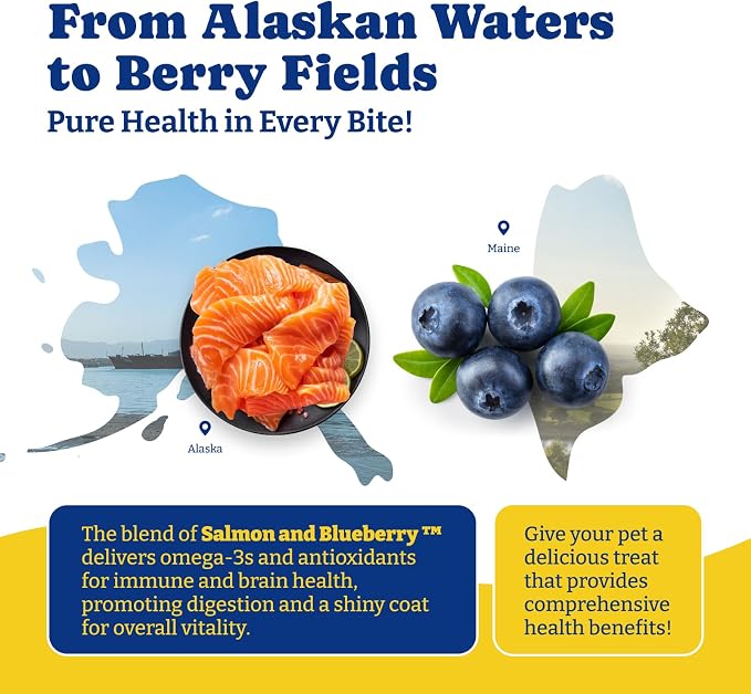Probiotics for Dogs, Dog Gut, Immune & Skin Health Support Supplement