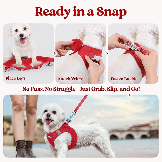 rabbitgoo Dog Harness Small Sized and Leash Set, Step-in Puppy Pet Vest | Light, Soft, Breathable Air Mesh, Easy on and Remove with Hook & Loop, Secure Reflective for Walking, Red M