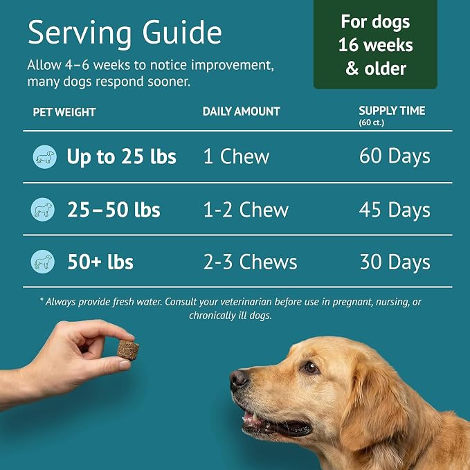 Dog Allergy Chews for Itchy Skin, Hot Spots, Paw Licking Relief & Itchy Ears – Quercetin, Turmeric, Probiotics & Colostrum – Made in USA – 60 Count
