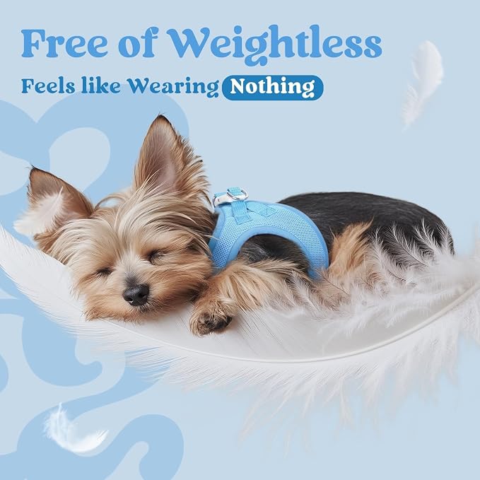 rabbitgoo Step-in Small Dog Harness, Puppy Vest for Small Sized Pet | Easy Put on and off, Lightweight, Soft, Breathable Quick-Dry Air Mesh for Comfortable Secure Walking, Blue XXXS