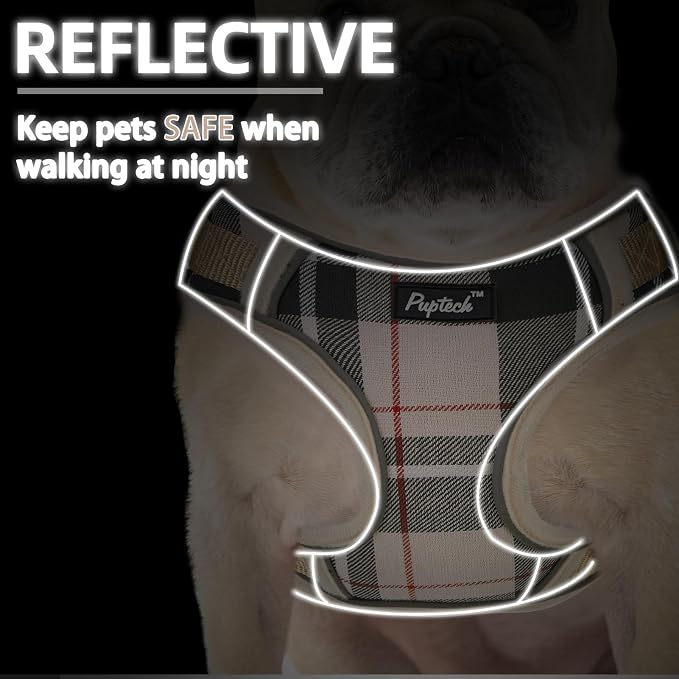 PUPTECK Dog Harness and Leash Set, No Pull Adjustable Pet Small Dog Harness, Reflective Soft Mesh Pet Vest, for Small Medium Dogs Walking, Beige, M