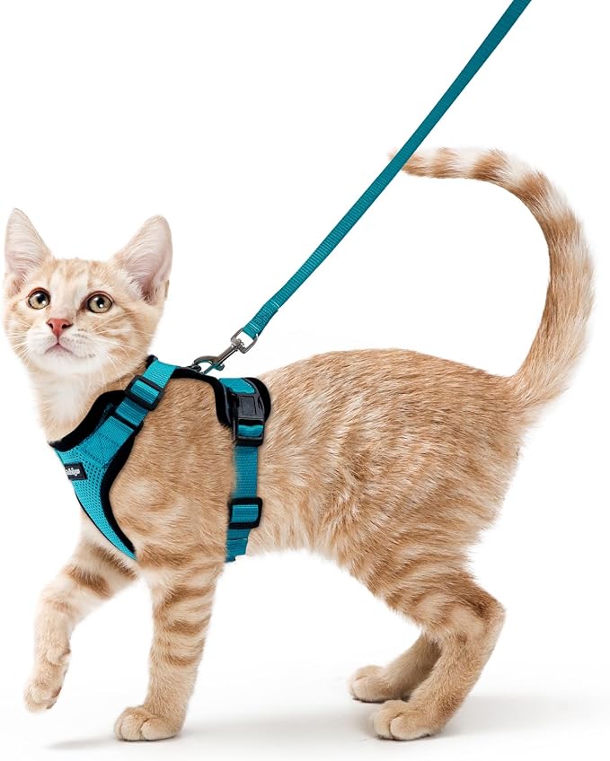 rabbitgoo Cat Harness and Leash Set, Escape Proof Vest, Teal | Soft Breathable Mesh, Easy Adjustable Fit, Snap Buckles, Sturdy Clip, Reflective Strips, for Small & Average Cats Walks, Xs