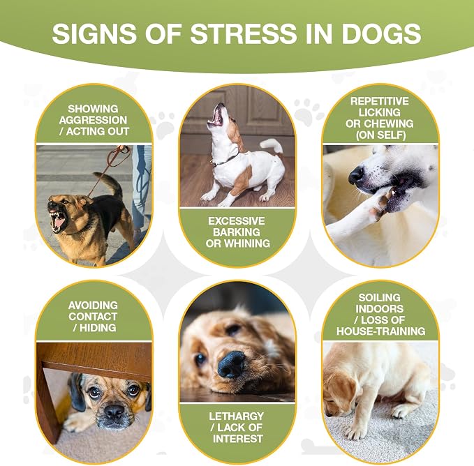 Calming Chews for Dogs, 180 Chews