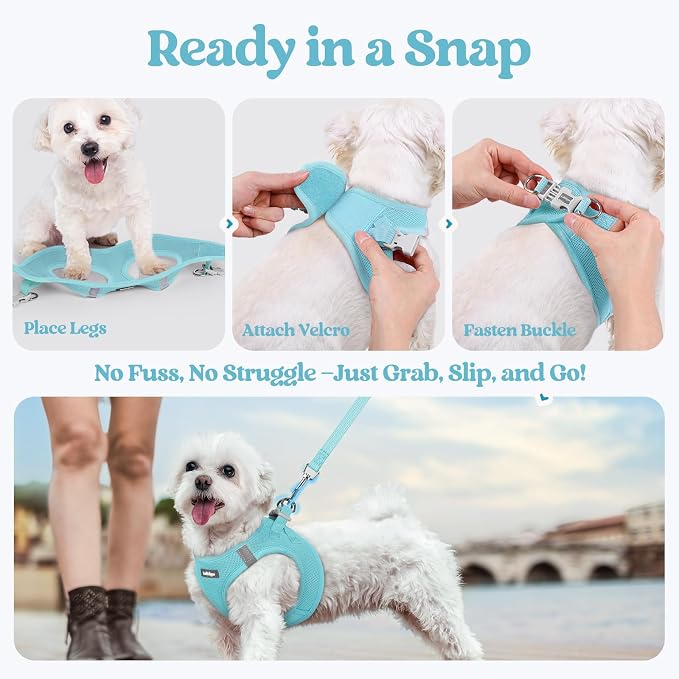 rabbitgoo Dog Harness Medium Sized and Leash Set, Step-in Puppy Pet Vest | Light, Soft, Breathable Air Mesh, Easy on and Remove with Hook & Loop, Secure Reflective for Walking, Mint Blue XL