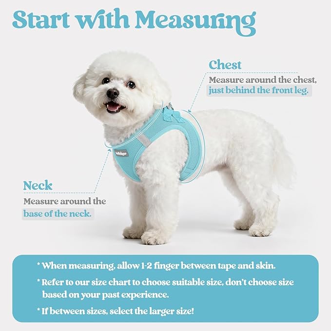 rabbitgoo Dog Harness Small Sized and Leash Set, Step-in Puppy Pet Vest | Light, Soft, Breathable Air Mesh, Easy on and Remove with Hook & Loop, Secure Reflective for Walking, Mint Blue XXS