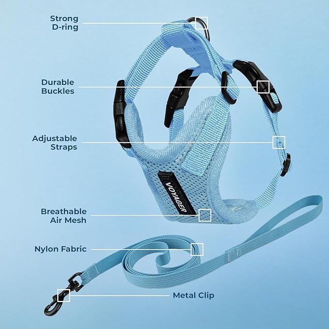 Voyager Escape-Proof Step-in Lock Cat Harness & 5ft Neoprene-Handle Leash Set All-Weather Mesh with Reflective Stitching for Small to Large Cats by Best Pet Supplies, Baby Blue, XXXS