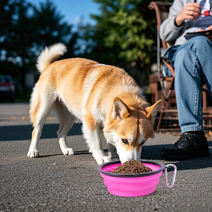 Dog Bowl Collapsible, 2 Pack, with Carabiners, Medium, Black+Pink